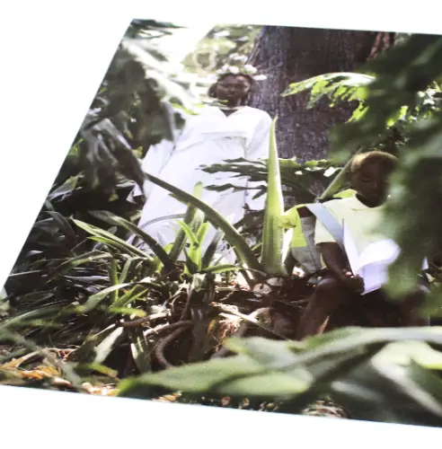 Giclee Print on Hahnemuhle Photo Rag Satin Paper